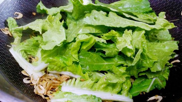 白菜豆腐粉丝虾