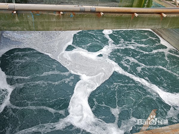 不锈钢酸洗硝酸废水生物法处理