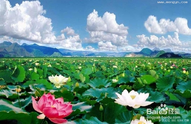 云南那些我们不熟知的美景