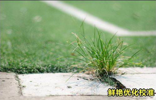 高画质法宝相机RAW格式使用技巧详解