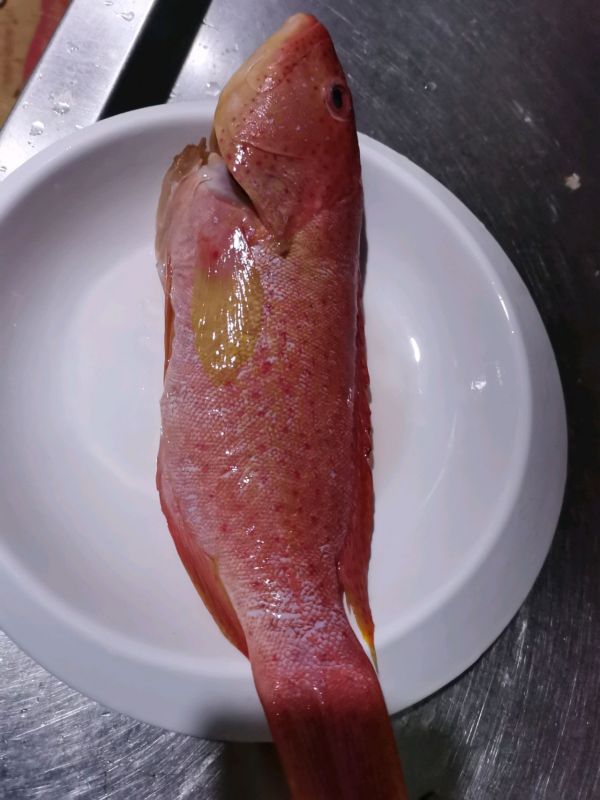 开水青菜东星斑