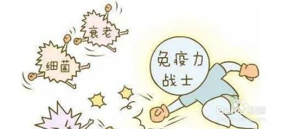 怎么样提高免疫力