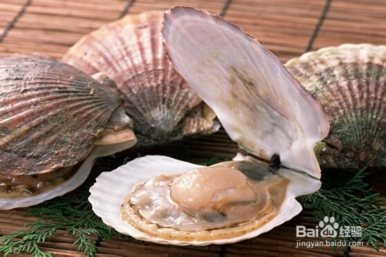 6类养生宝贝，男人也养生