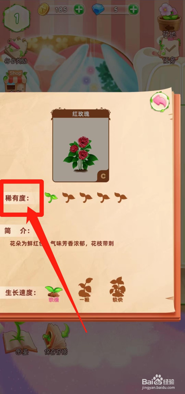 花花姑娘之魔法花园如何查看红玫瑰稀有度