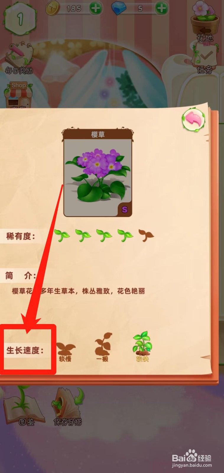 花花姑娘之魔法花园如何查看樱草生长速度