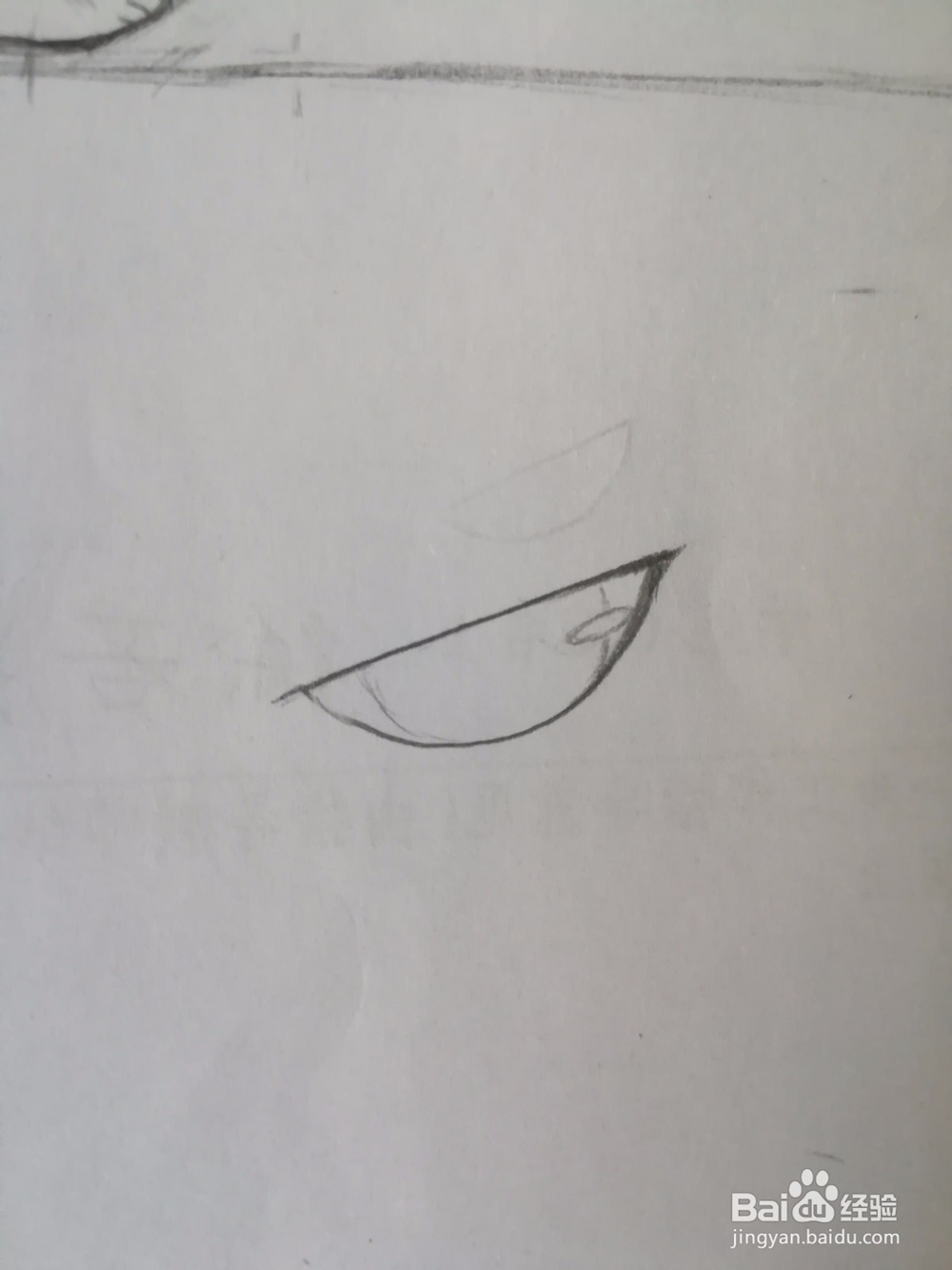 傲娇的小猫画法教程（2）——成型