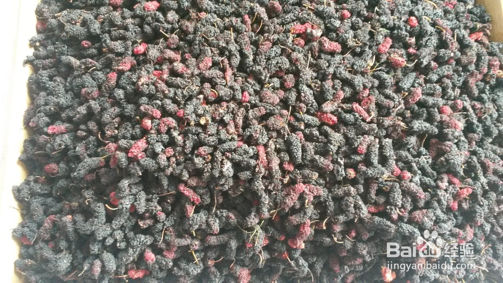 智能热泵烘干机具备的特性智能烘干机的控制逻辑