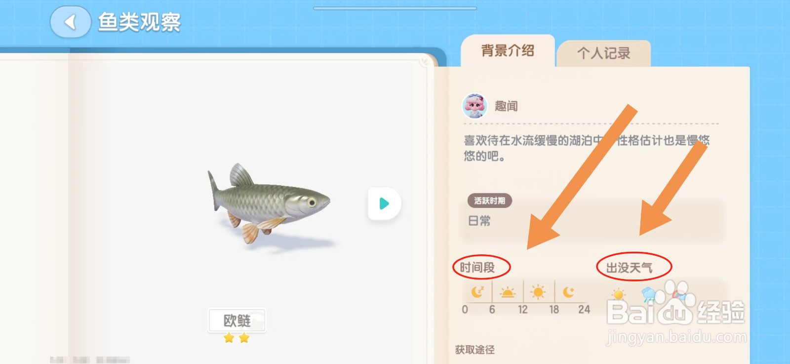 心动小镇鱼出没的时间段和天气怎么查看