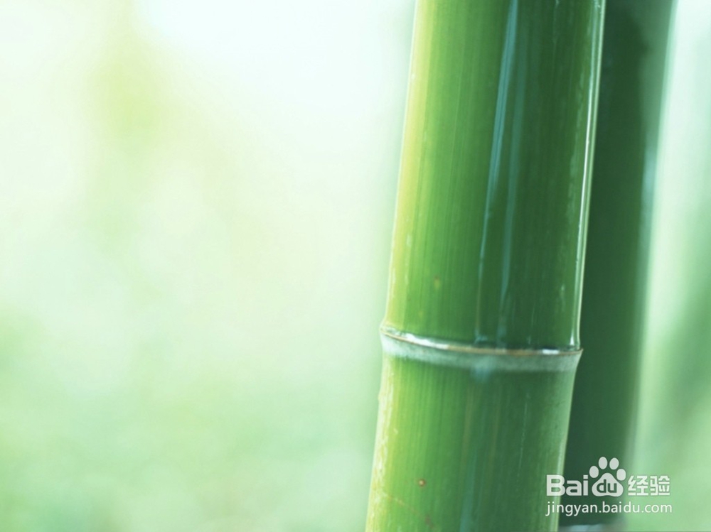 一天一个字，七天让自己蜕变