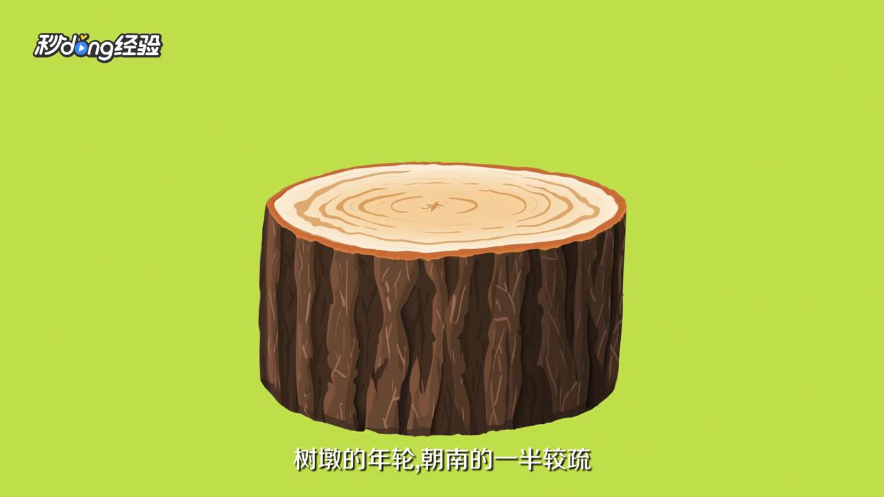 树的年轮怎么辨别方向