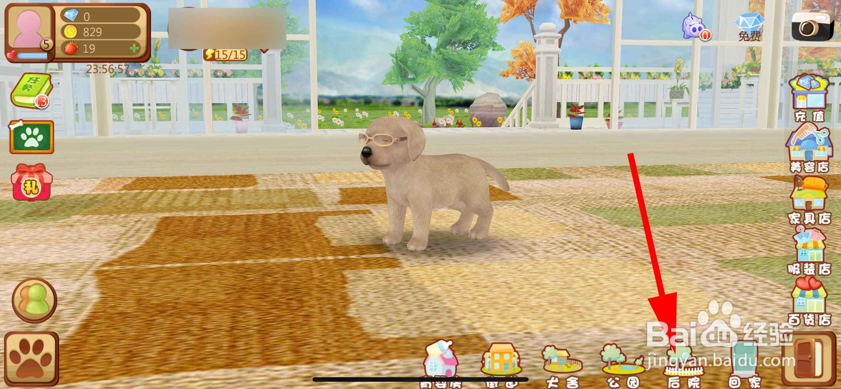 心动小狗怎么进入后院