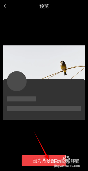 今日头条极速版背景图怎么设置？