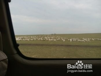 最美草原自由行