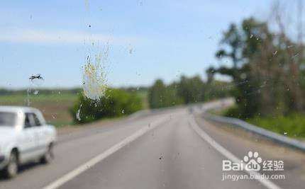 如何避免汽车跑高速撞飞虫 百度经验