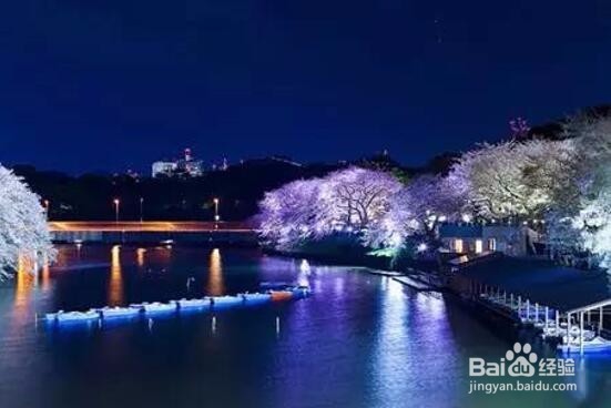 日本东京赏樱旅行5日自由行经典行程及旅游攻略