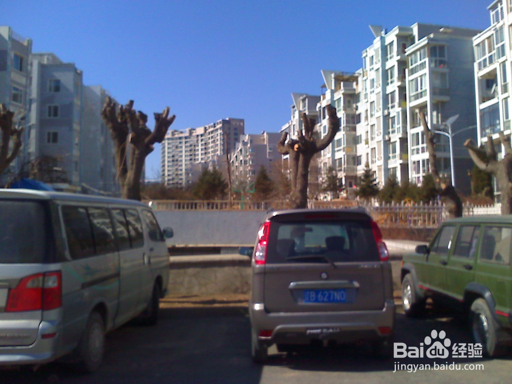 怎样告诉孩子安全出行---56