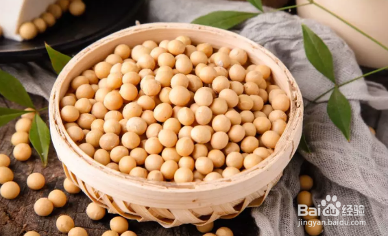 哪些食物可以提高免疫力