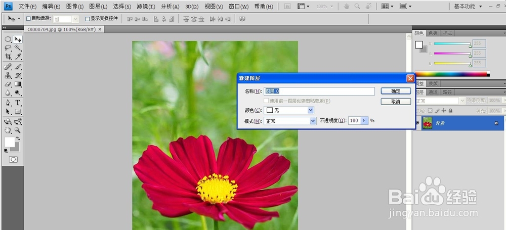在ps中如何使用钢笔工具绘制选区
