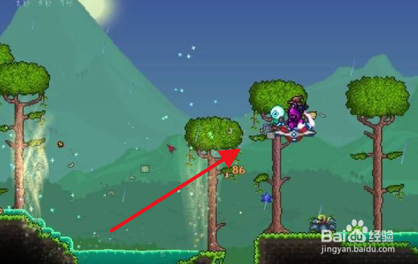 泰拉瑞亚丛林草种子怎么获得