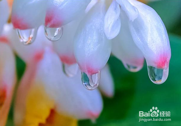 如何看待摄影后期使用厚滤镜或调色过度的照片