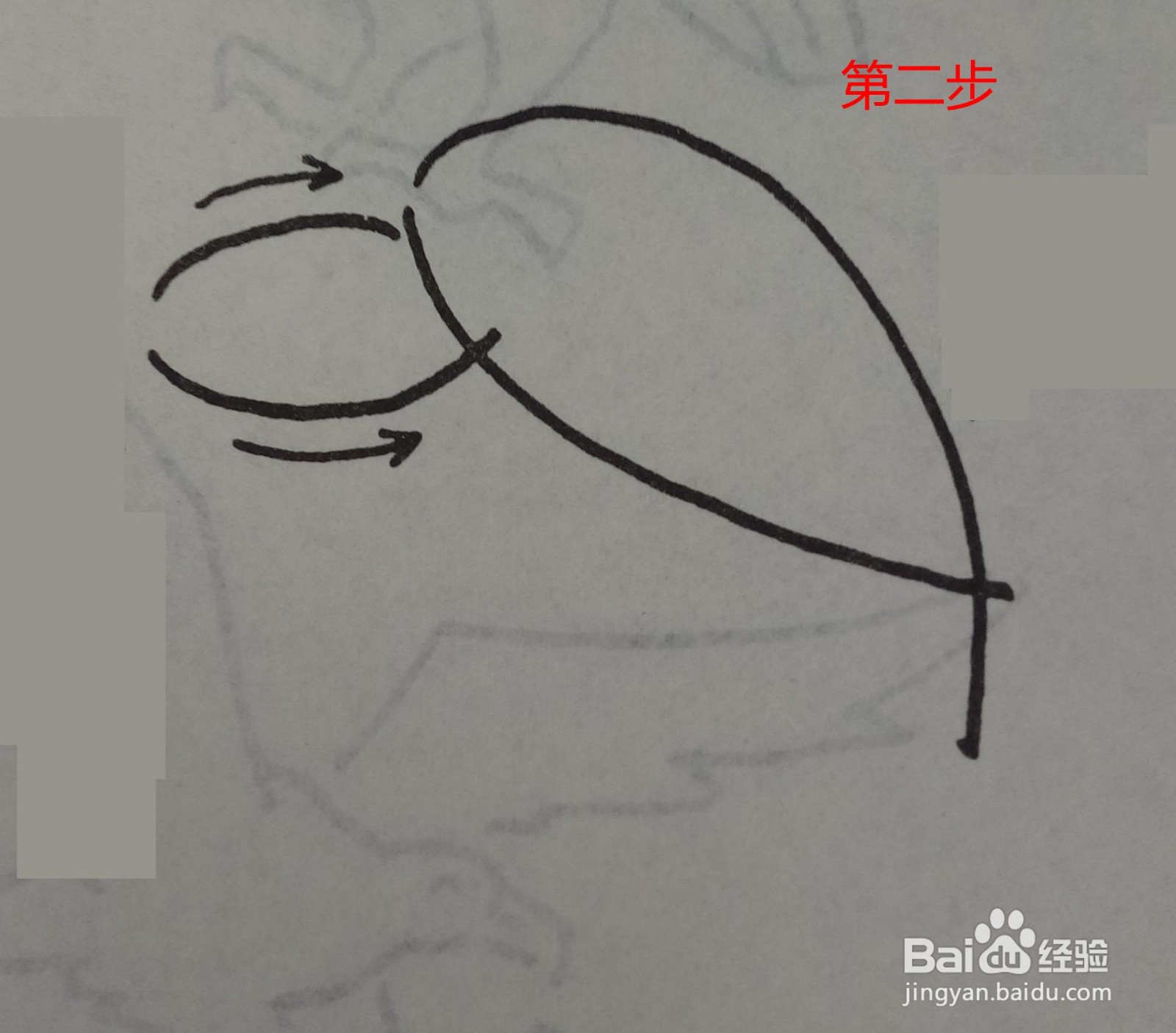 鹰的简笔画的画法