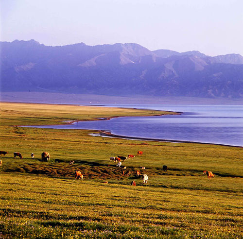 新疆摄影创作之摄影线路篇