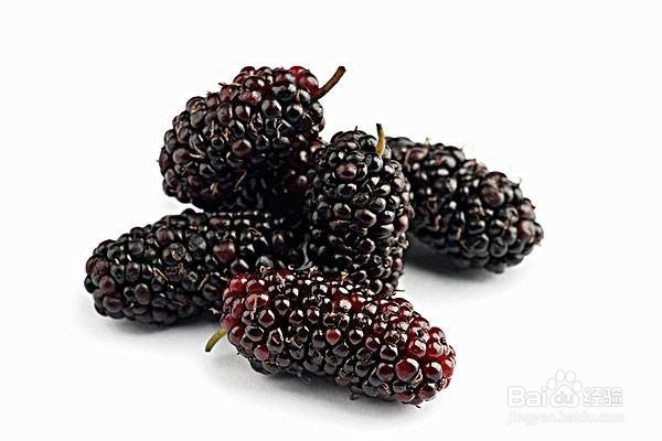 有哪些黑色食物滋补效果很好
