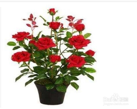 父亲节礼物全攻略!