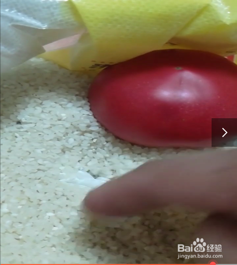 使大米不生虫子的方法