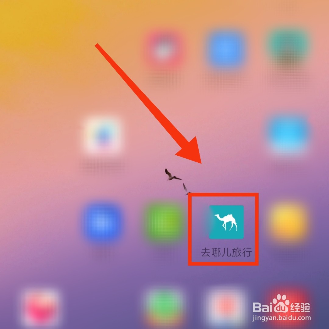 去哪儿旅行的往返低价机票在哪查看呢