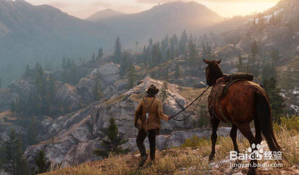 荒野大镖客2进不去游戏