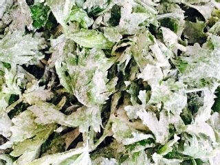 怎样做营养的芹菜叶麦饭