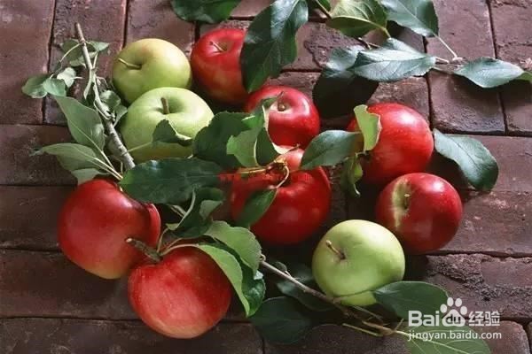 排毒促减脂的5种家常食物