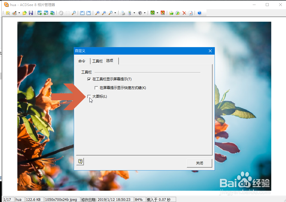 怎么让ACDSee8工具栏中的图标变成小图标