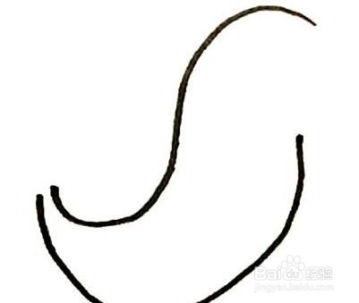 海豹的简单画法步骤