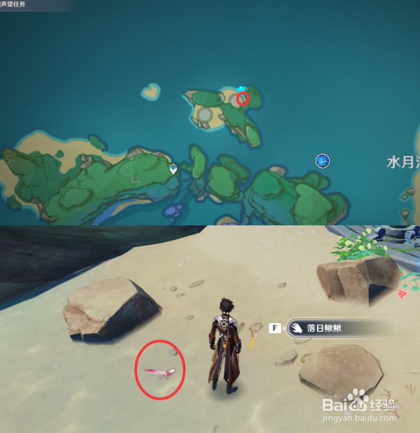 原神四方八方之网岩晶蝶落日鳅鳅金鳅鳅位置