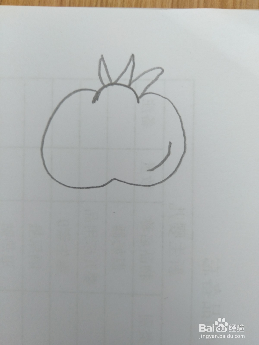 简笔画柿子画法四