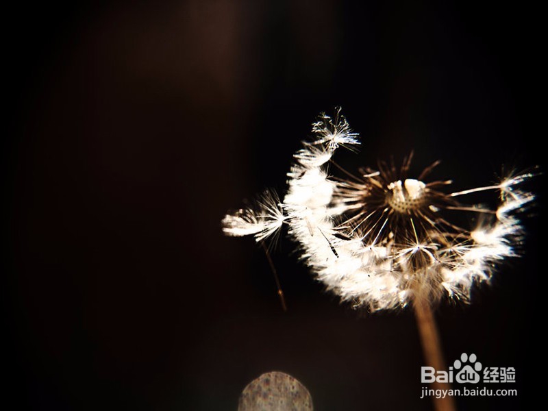 支付宝敬业福等集齐五福攻略【集五福必看】