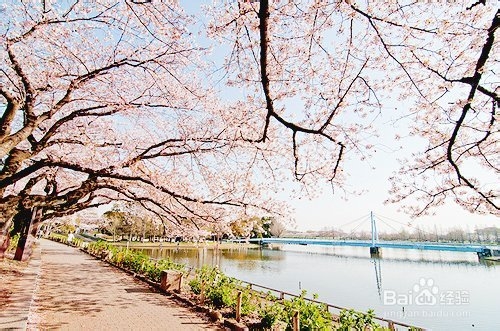 宝宝你可以走路了吗?