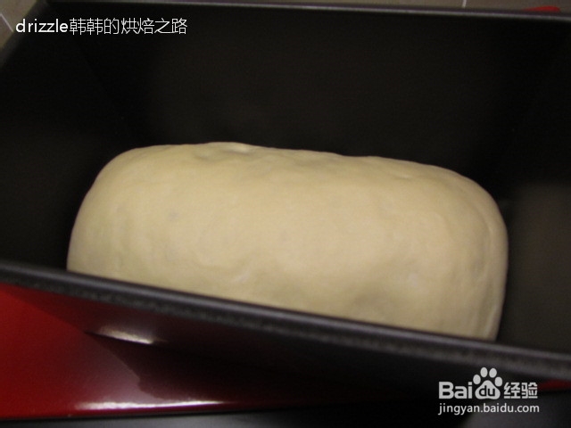 可可双色卷面包——使用天然酵母制作