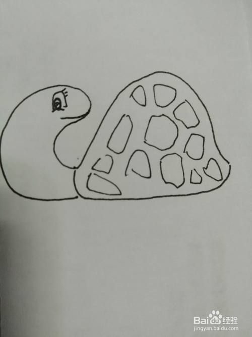 可爱的小乌龟怎么画
