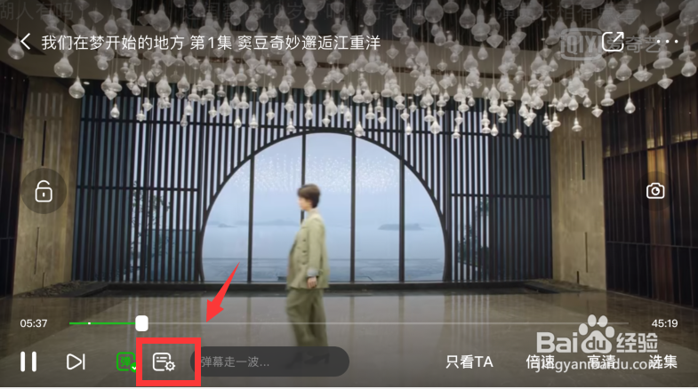 爱奇艺随刻版怎么设置弹幕透明度