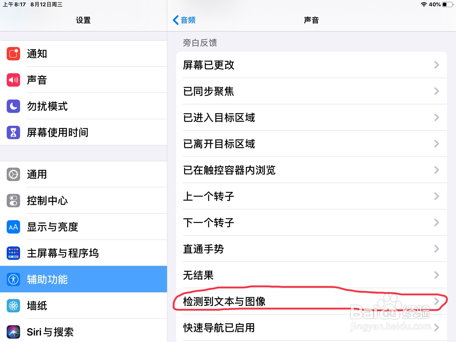 iPad怎么在旁白设置检测到文本与图像的预览