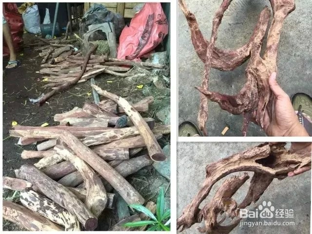 您知道如何买海南黄花梨原材料吗?