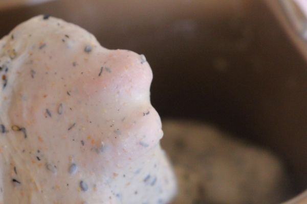 黑芝麻无花果软欧