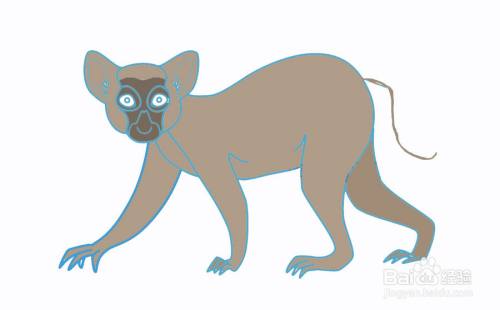 警惕的狐猴简笔画