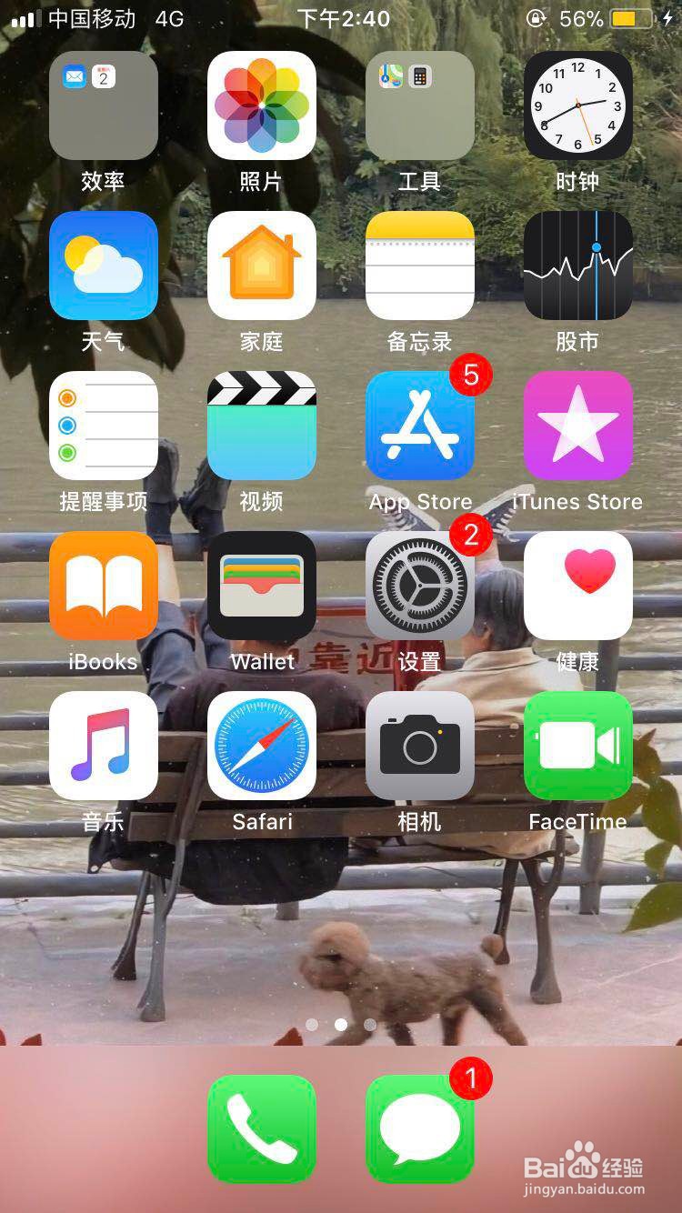 Iphone 7 如果调整字体大小