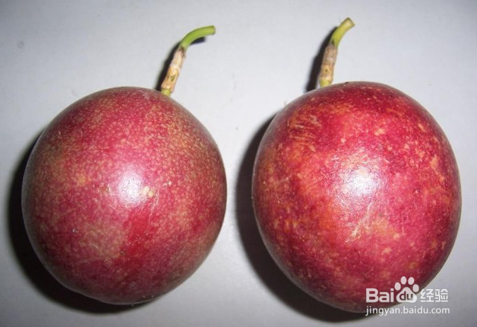 百香果的营养价值及食用好处