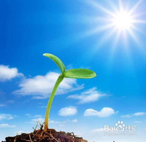 提高免疫力的常见方法