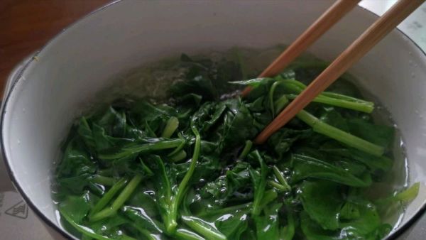 #美食视频挑战赛# 菠菜蔓越莓馒头